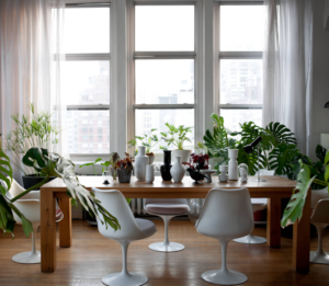 A minimalist dining room is great with jungle decor