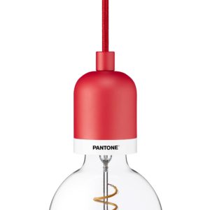 lamp bulb with red hanging stem