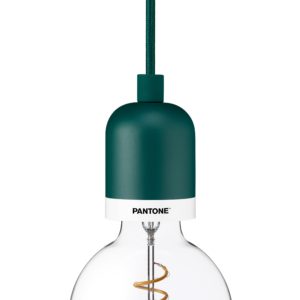 lamp bulb with green hanging stem