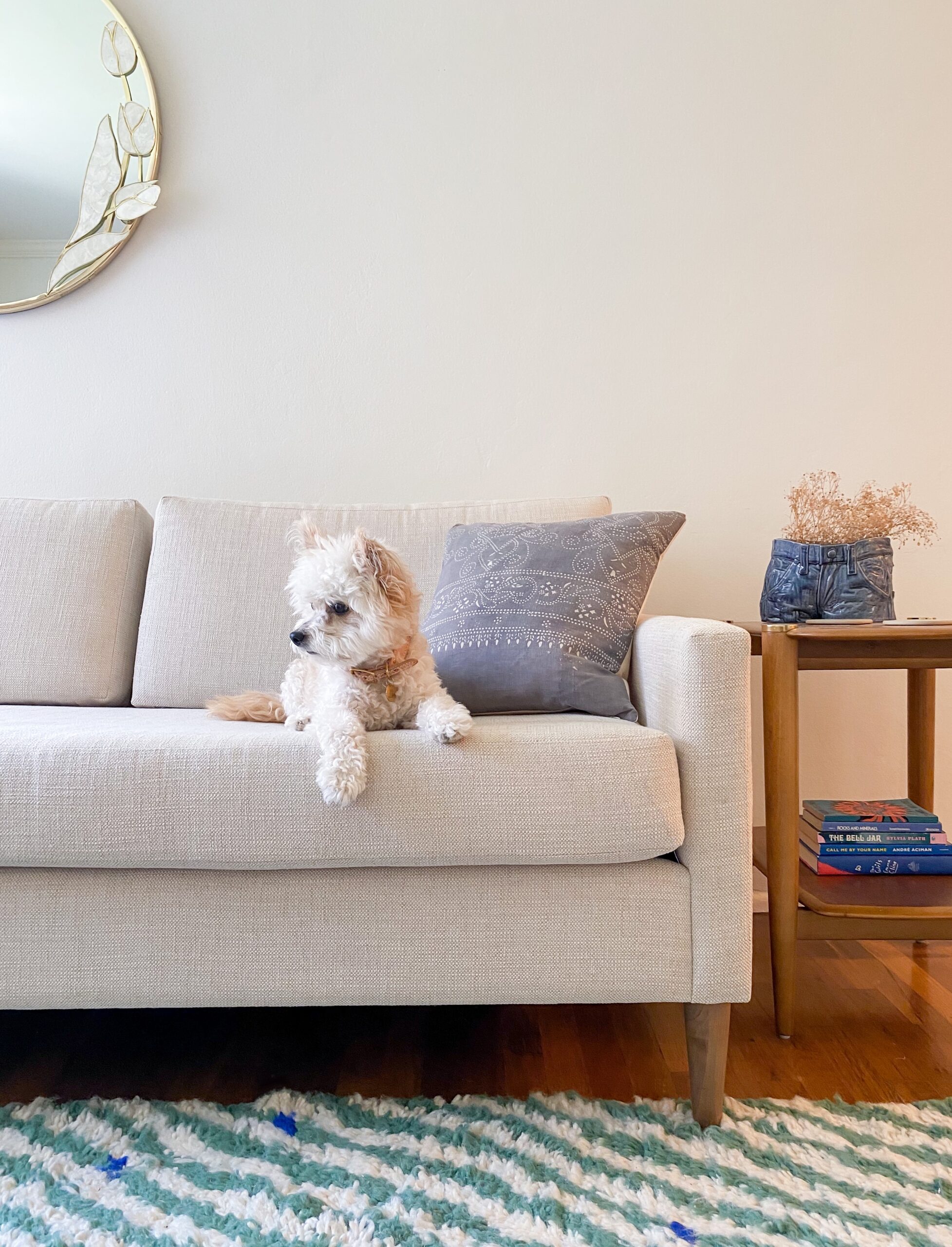 The Pet Owner’s Guide To Sofa Shopping & Sofa Care