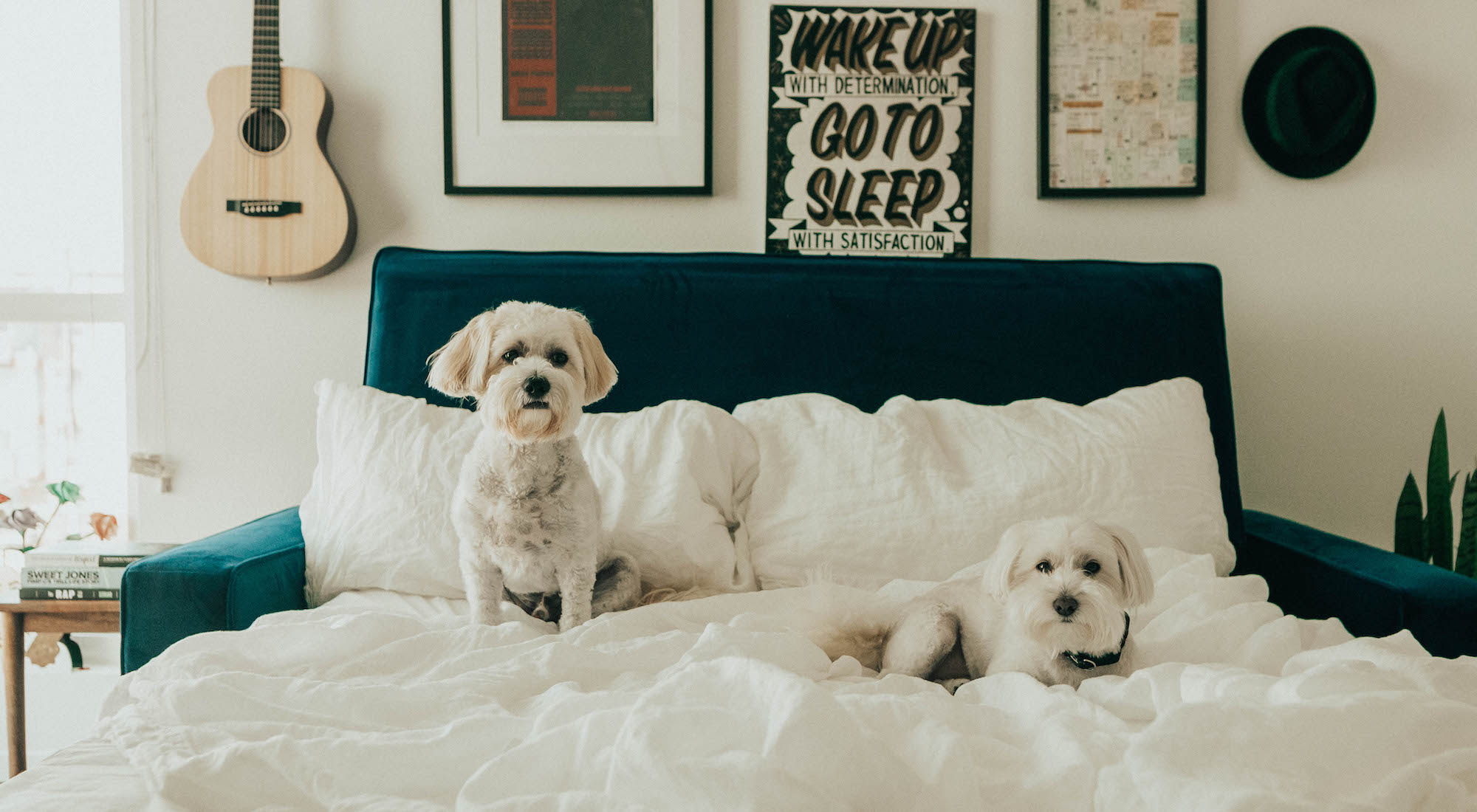 Why Everyone Is Falling For Sleeper Sofas