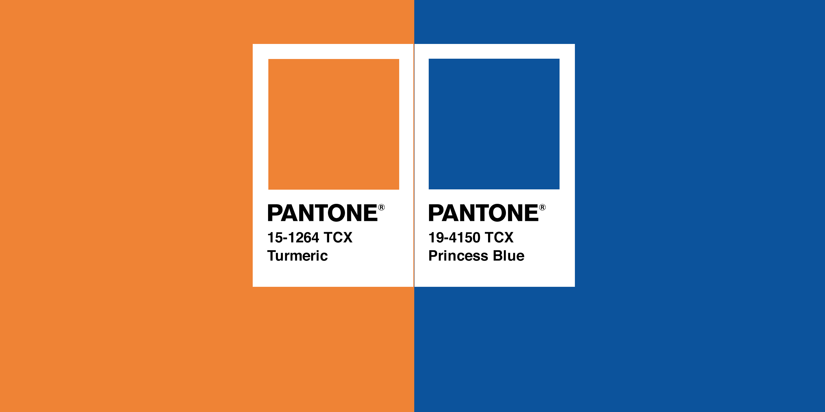 Color Combo of the Month | Turmeric & Princess Blue