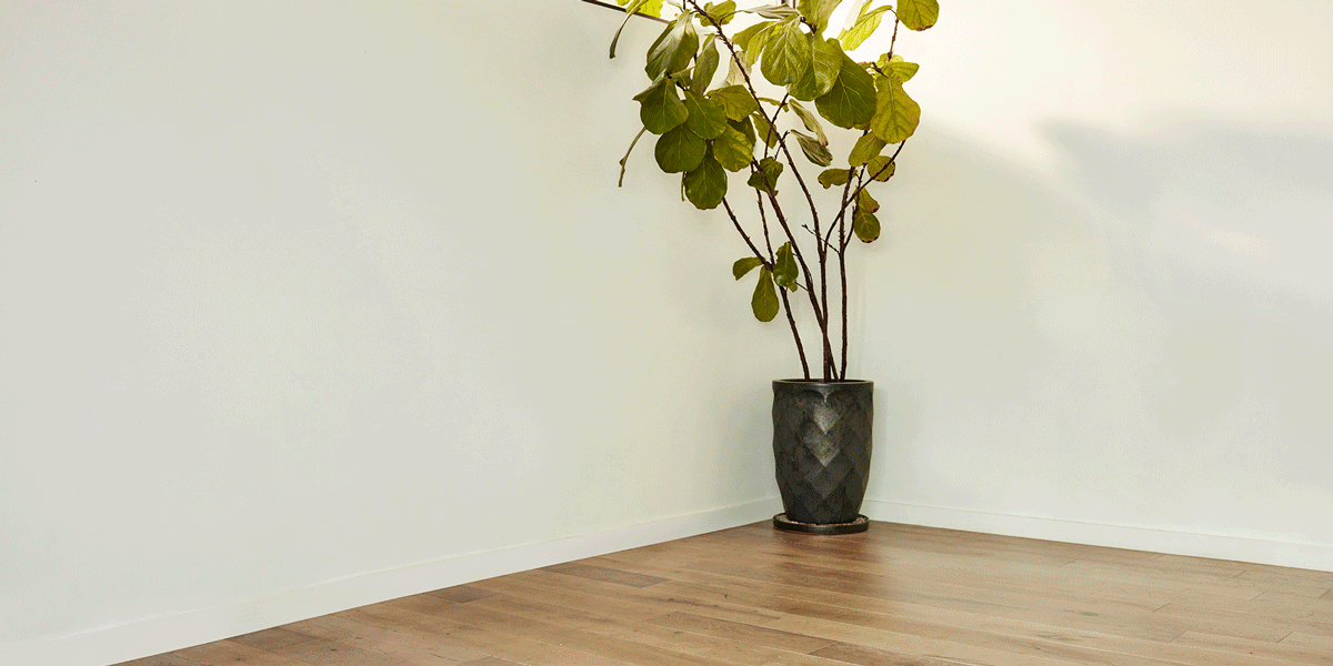 Collection Companions: How to Nail That Mix & Match