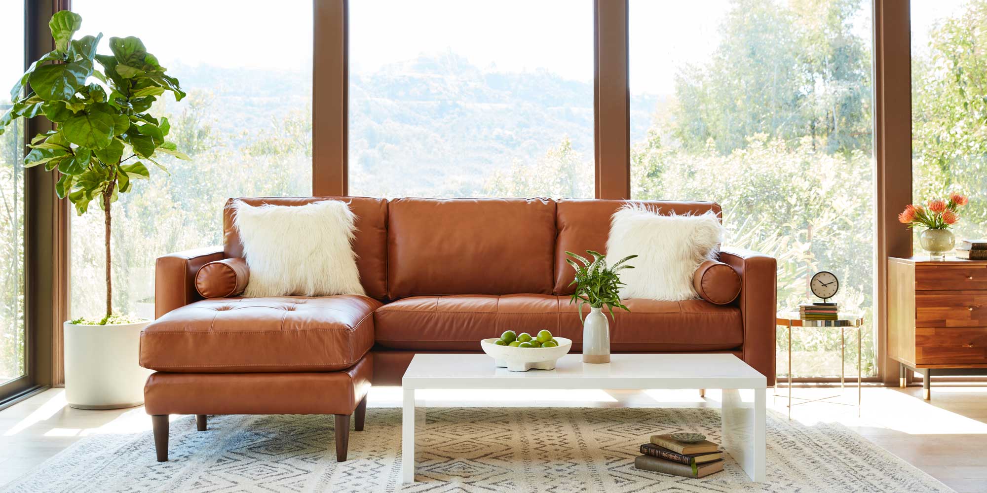 How to Choose the Right Plant for Your Space